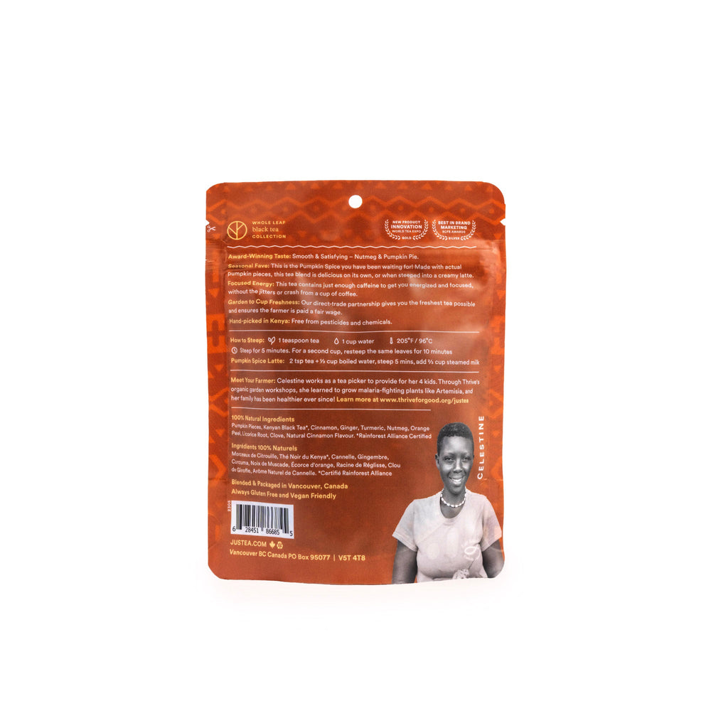 Pumpkin Spice Stand-Up Pouch - 80 Cups Loose Leaf Tea (Quantity of 6)