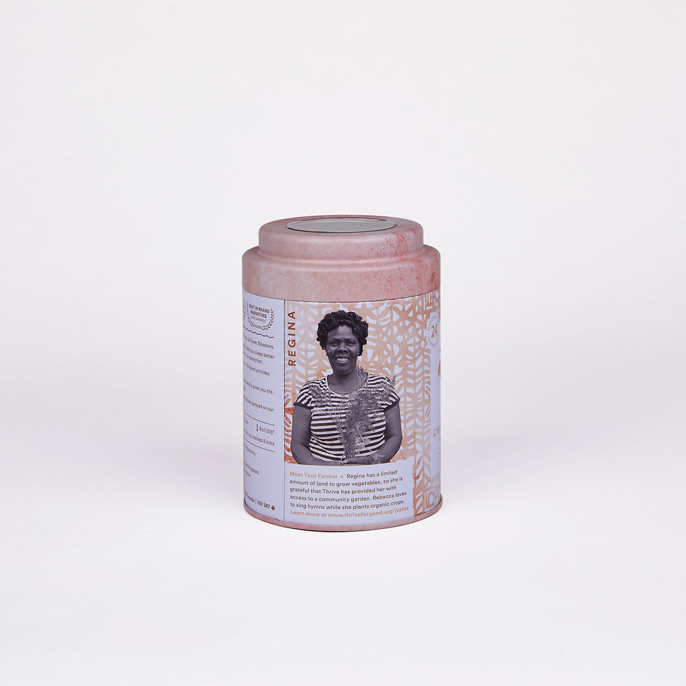 Chamomile Dream Tea Bag Tin - 12 Compostable Pyramid Bags (Quantity of 6)