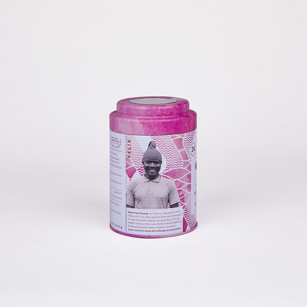 Purple Jasmine Tea Bag Tin - 12 Compostable Pyramid Bags (Quantity of 6)