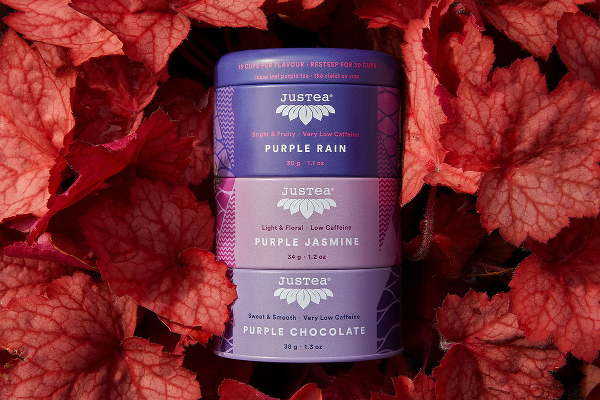 What is Purple Tea? | JusTea | Canada's Purple Tea Expert – JUSTEA