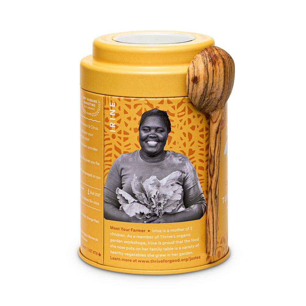 Turmeric Ginger Tin & Spoon - 80 cups Loose Leaf Tea (Quantity of 6)